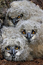 BUITEN BEELD Foto: 450788