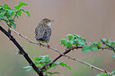 BUITEN BEELD Foto: 450795