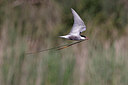 BUITEN BEELD Foto: 450798