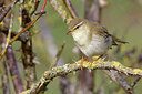 BUITEN BEELD Foto: 450803