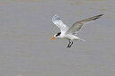 BUITEN BEELD Foto: 450809