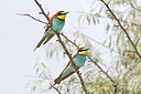 BUITEN BEELD Foto: 450810