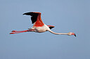BUITEN BEELD Foto: 450824