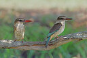 BUITEN BEELD Foto: 450833