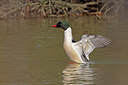 BUITEN BEELD Foto: 450851