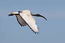 BUITEN BEELD Foto: 450854