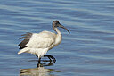BUITEN BEELD Foto: 450856