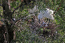 BUITEN BEELD Foto: 450866