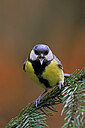BUITEN BEELD Foto: 450874