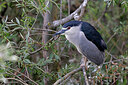 BUITEN BEELD Foto: 450878