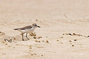 BUITEN BEELD Foto: 450882