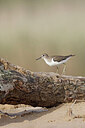BUITEN BEELD Foto: 450885