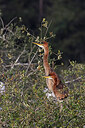 BUITEN BEELD Foto: 450889