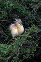 BUITEN BEELD Foto: 450890