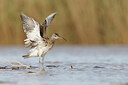 BUITEN BEELD Foto: 450891