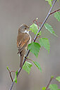 BUITEN BEELD Foto: 450920