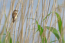 BUITEN BEELD Foto: 450922