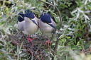 BUITEN BEELD Foto: 450927