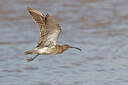 BUITEN BEELD Foto: 450928