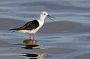 BUITEN BEELD Foto: 450932