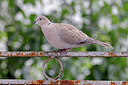 BUITEN BEELD Foto: 450934