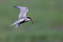 BUITEN BEELD Foto: 450935