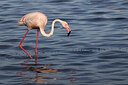 BUITEN BEELD Foto: 450937