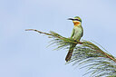 BUITEN BEELD Foto: 450942