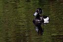 BUITEN BEELD Foto: 450949