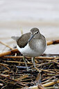 BUITEN BEELD Foto: 450951