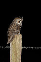 BUITEN BEELD Foto: 450954