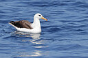 BUITEN BEELD Foto: 450960