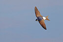 BUITEN BEELD Foto: 450964