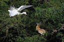 BUITEN BEELD Foto: 450967