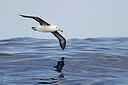 BUITEN BEELD Foto: 450971