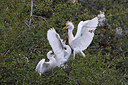 BUITEN BEELD Foto: 450978