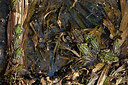 BUITEN BEELD Foto: 450991