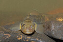 BUITEN BEELD Foto: 450996