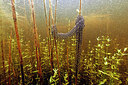 BUITEN BEELD Foto: 450997