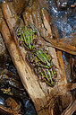 BUITEN BEELD Foto: 451009