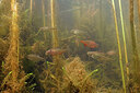 BUITEN BEELD Foto: 451021