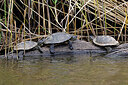 BUITEN BEELD Foto: 451022