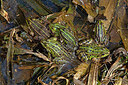 BUITEN BEELD Foto: 451026
