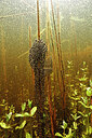 BUITEN BEELD Foto: 451027