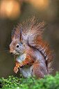 BUITEN BEELD Foto: 451046