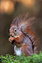 BUITEN BEELD Foto: 451054