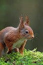 BUITEN BEELD Foto: 451056