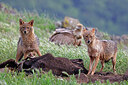 BUITEN BEELD Foto: 451057
