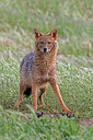 BUITEN BEELD Foto: 451058