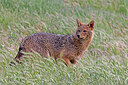 BUITEN BEELD Foto: 451060